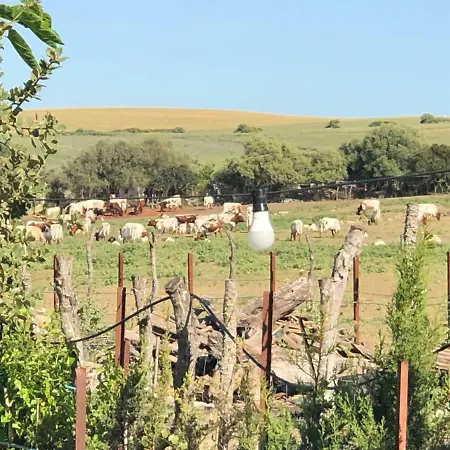 Rural El Soldao * Medina-Sidonia